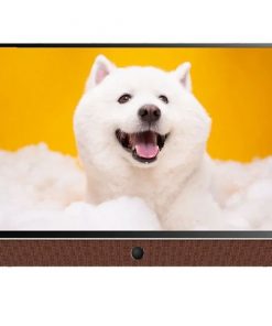 Google Tivi Xách Tay Di Động Coocaa Full HD 24 Inch 24LP6000G