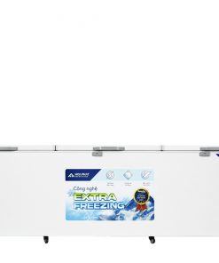 Tủ Đông Hòa Phát 1190 lít HPF AD61190