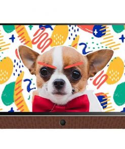 Google Tivi xách tay di động Skyworth FHD 24 Inch 24P6300