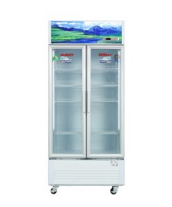 Tủ mát Sanaky Inverter 700 lít VH-8009HP3