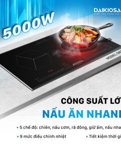 Bếp từ đôi Daikiosan DB201