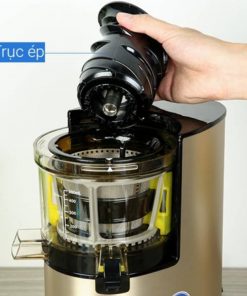 Máy ép chậm BlueStone SJB-6578