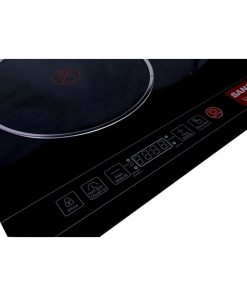 Bếp hồng ngoại Sanaky SNK-202HGW