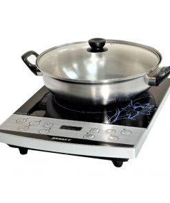Bếp điện từ Sanaky SNK-ICP17A