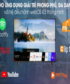 Smart Tivi LG 4K 43 inch 43UM7300PTA