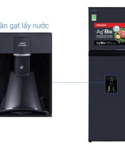 Tủ Lạnh Toshiba Inverter 249 Lít GR-RT325WE-PMV(06)-MG