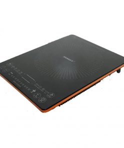 Bếp điện từ Sanaky SNK-ICS20A