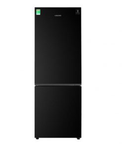 Tủ lạnh Samsung Inverter 310 lít RB30N4010BU/SV